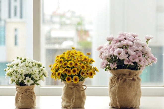 Cách cắm hoa cúc ngày Tết tuyệt đẹp mang lại sức sống mới cho căn nhà